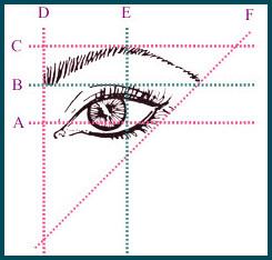 Reference diagram arched eyebrows as step 2