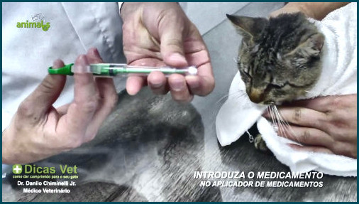 Aplicador de medicamentos para gatos